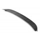 2012-2013 BMW 3 SERIES C REAR SPOILER